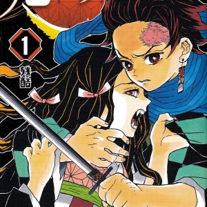 Demon Slayer Vol. 1
