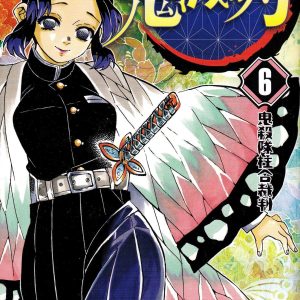 Demon Slayer Vol. 6
