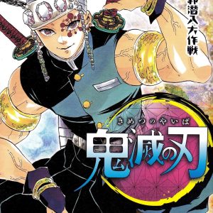 Demon Slayer Vol. 9