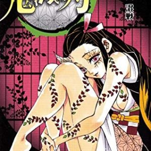 Demon Slayer Vol. 11
