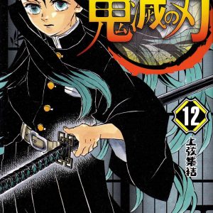 Demon Slayer Vol. 12