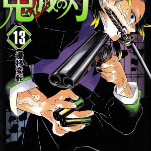 Demon Slayer Vol. 13