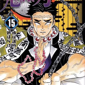 Demon Slayer Vol. 15