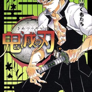 Demon Slayer Vol. 17