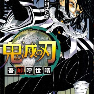 Demon Slayer Vol. 19