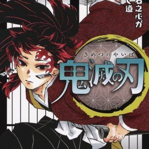 Demon Slayer Vol. 20