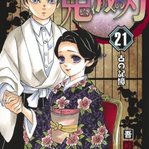 Demon Slayer Vol. 21