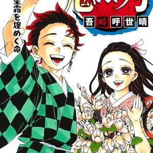 Demon Slayer Vol. 23